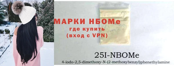ECSTASY Бородино