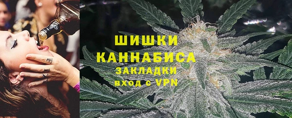 ECSTASY Бородино
