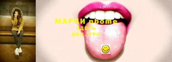 ECSTASY Бородино
