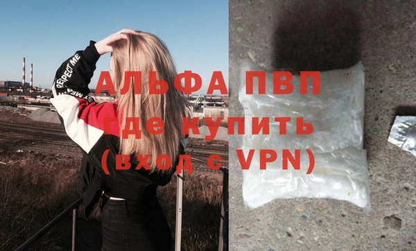 ECSTASY Бородино