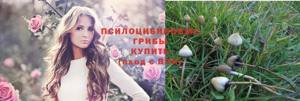 ECSTASY Бородино